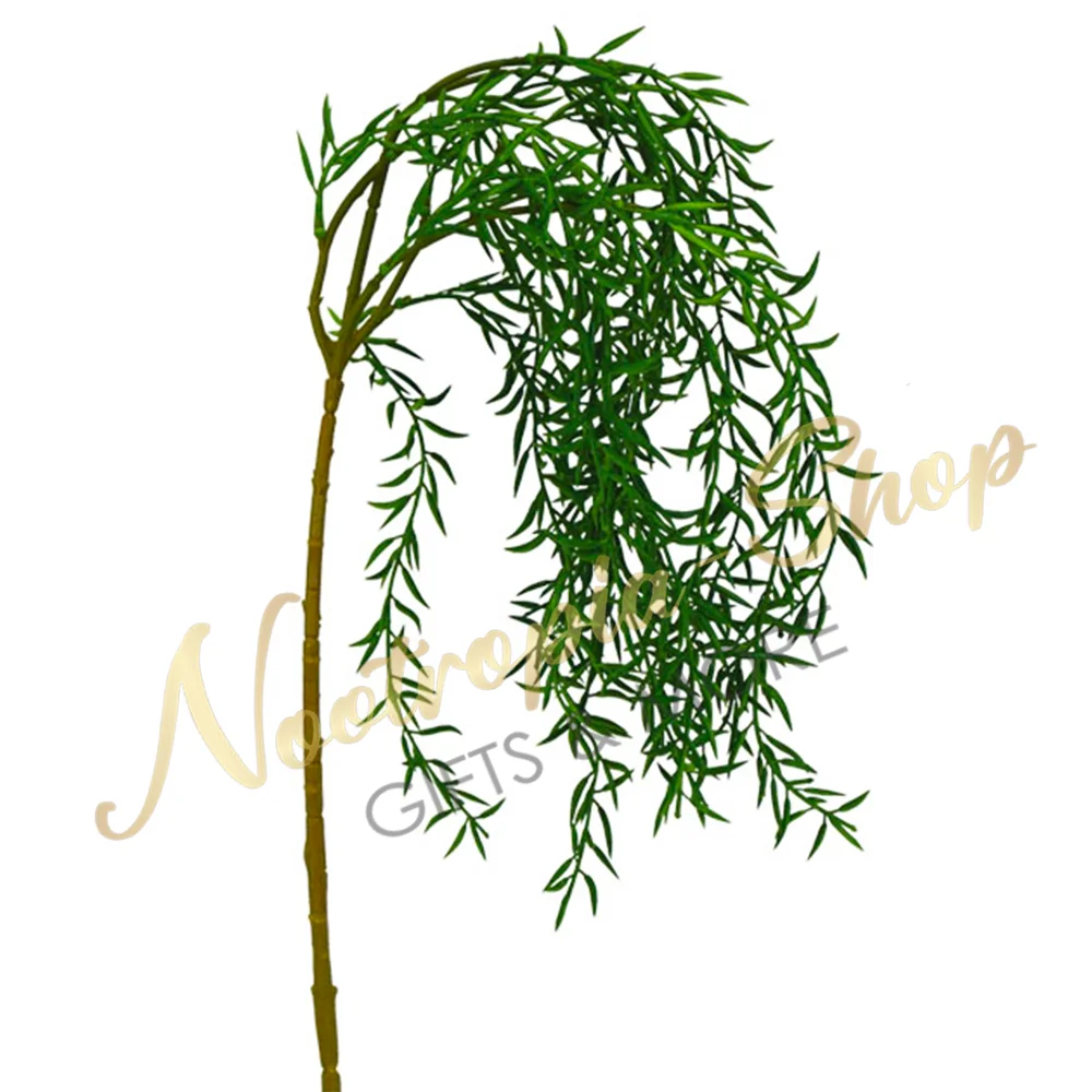 20423-2_ΔΙΑΚΟΣΜΗΤΙΚH ΡΙΖΑ ΚΡΕΜΑΣΤΗ ΠΑΧΥΦΥΤΟ ΜΥΤΕΡΟ ΦΥΛΛΟ