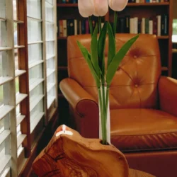 Κηροπήγιο - Ανθοδοχείο Ελιά